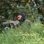 blackdragon25 blackdragon25