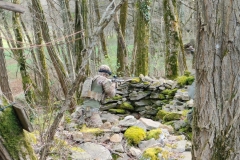 IMG20250323102505