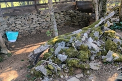 IMG20250406091534