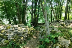 IMG20250525113914